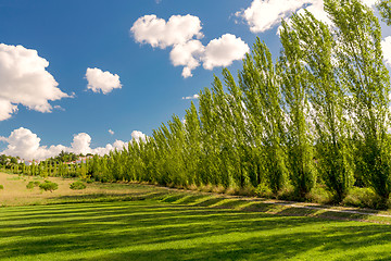 Image showing Beautiful path with trees