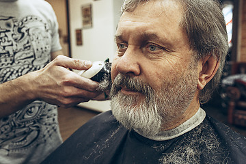 Image showing Close-up side view portrait of handsome senior bearded caucasian man getting beard grooming in modern barbershop.