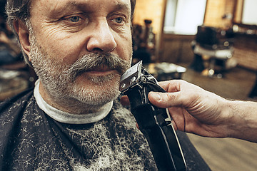 Image showing Close-up side view portrait of handsome senior bearded caucasian man getting beard grooming in modern barbershop.