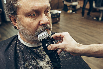 Image showing Close-up side view portrait of handsome senior bearded caucasian man getting beard grooming in modern barbershop.