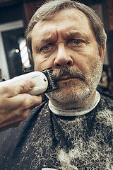 Image showing Close-up side view portrait of handsome senior bearded caucasian man getting beard grooming in modern barbershop.