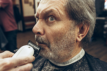 Image showing Close-up side view portrait of handsome senior bearded caucasian man getting beard grooming in modern barbershop.