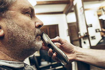 Image showing Close-up side profile view portrait of handsome senior bearded caucasian man getting beard grooming in modern barbershop.