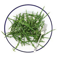 Image showing Samphire Sea Vegetable