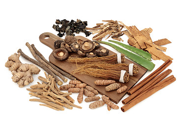 Image showing Adaptogen Herbs and Spices 