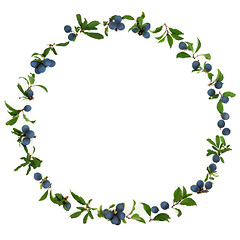 Image showing Blackthorn Berry Wreath