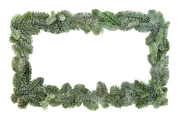 Image showing Spruce Fir Background Border 