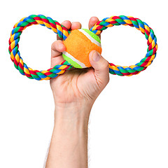 Image showing Hand with dog toy