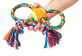 Image showing Hand with dog toy