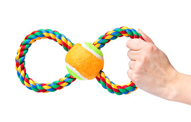 Image showing Hand with dog toy