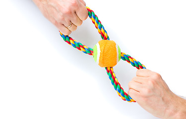 Image showing Hand with dog toy