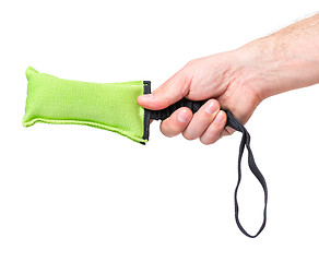 Image showing Hand with dog toy