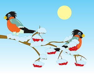 Image showing Bullfinch on branch of rowanberry in winter