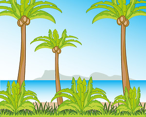 Image showing Tropical coast with palm and beach.Vector illustration