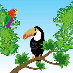 Image showing Birds toucan and parrot in tropical wood