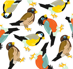 Image showing Pattern from birds sparrow,tomtit and bullfinch.Vector illustration