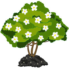 Image showing Year green bush with white flower.Vector illustration
