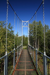 Image showing Bridge in nature