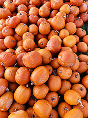 Image showing Pile of pumpkins