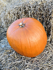 Image showing Pumpkin on hay stack