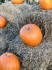 Image showing Pumpkin on hay stack