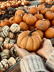 Image showing Woman holding orange pumpkin in her hands.