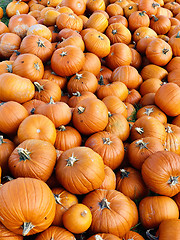 Image showing Pile of pumpkins