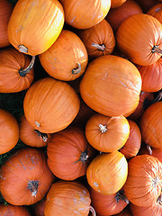 Image showing Pile of pumpkins