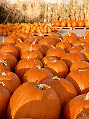 Image showing Pile of pumpkins