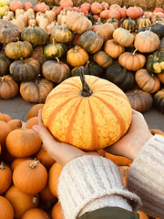 Image showing Woman holding orange pumpkin in her hands.