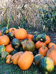 Image showing Pile of pumpkins