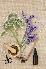 Image showing Lavender and Valerian Herbal Medicine