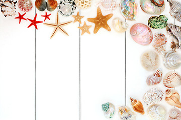 Image showing Seashell Background Border