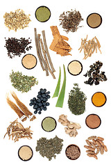 Image showing Adaptogen Food Selection