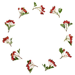 Image showing Hawthorn Berry Wreath