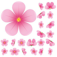 Image showing Cherry blossom, flowers of sakura, set, pink, flowers collection