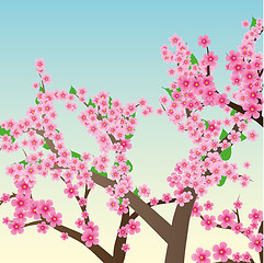 Image showing Spring or summer background with cherry blossom, sakura trees