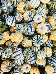 Image showing Pile of pumpkins