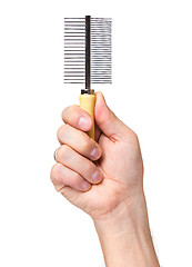 Image showing Hand with dogs grooming brush