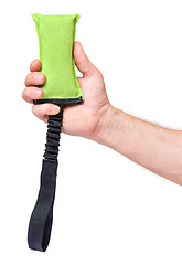 Image showing Hand with dog toy