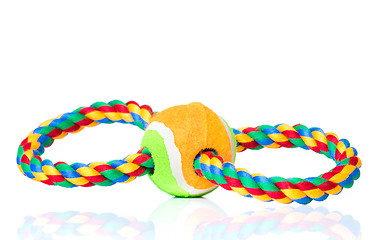 Image showing Dog toy on white