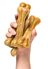 Image showing Hand with dog bone