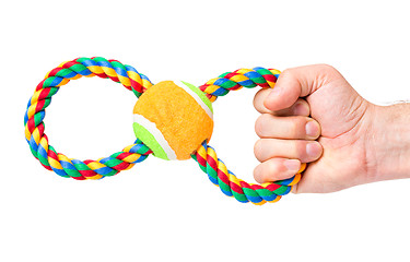 Image showing Hand with dog toy