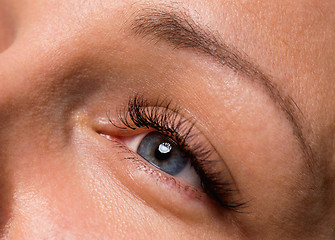 Image showing Face woman with eyes and eyelashes