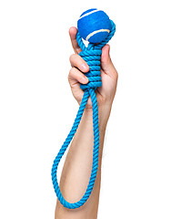 Image showing Hand with dog toy