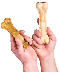 Image showing Hand with dog bone