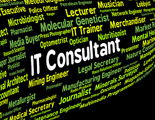 Image showing Information Technology Consultant Represents Employment Connecti