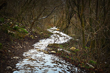 Image showing pedestrian path in the forest, winter scene