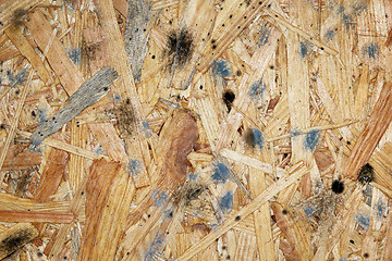 Image showing mildew on wooden plank