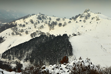 Image showing Trascau mountains in winter